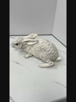 The Rabbit Statue